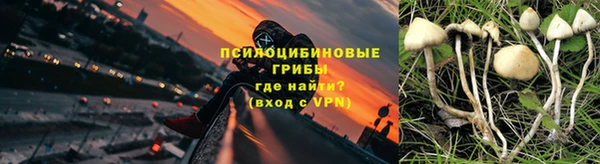 дмт Алексин