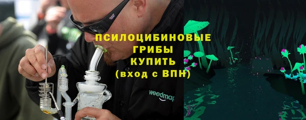 дмт Алексин