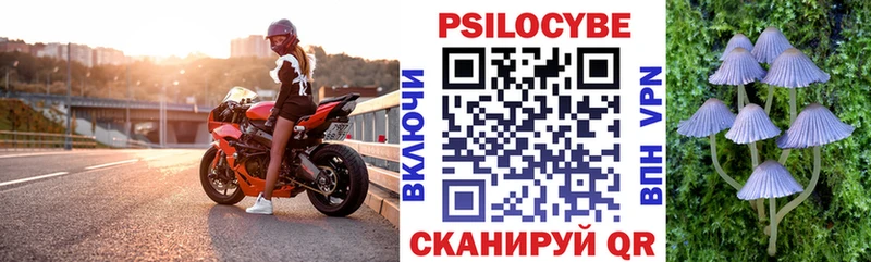 Псилоцибиновые грибы мицелий  Белебей 