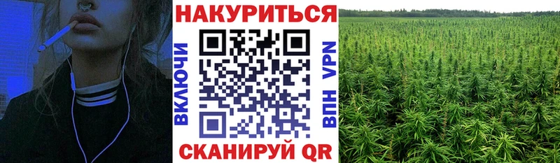 Каннабис Bruce Banner  Белебей 